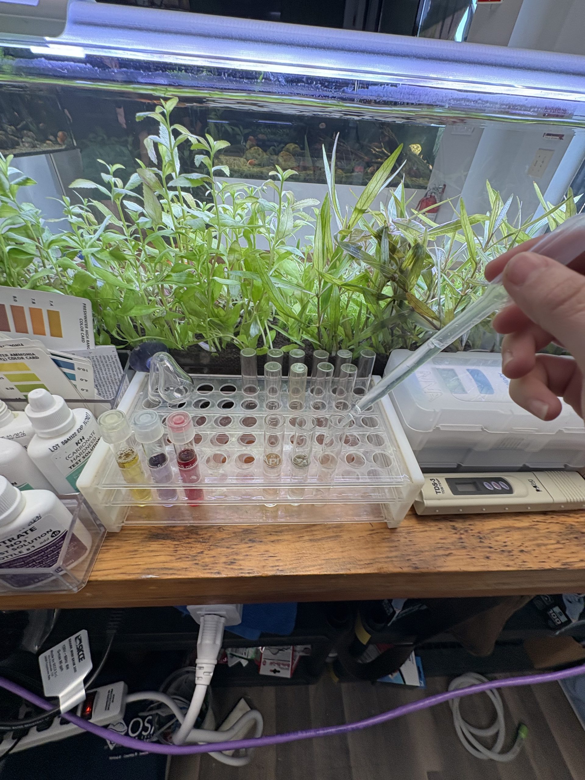 Test tubes of aquarium fluids and sampling each with an eyedropper